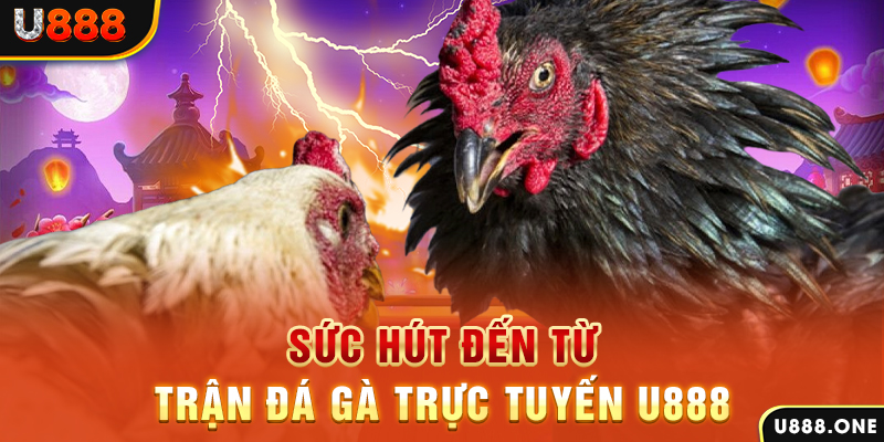 789win7 đá gà trực tiếp c1