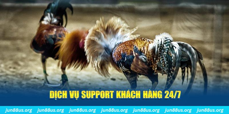 789win7 ÁT CHỦ BÀI GIÀNH LẤY ZHUANG NIUNIU ( XEM 4 LÁ )