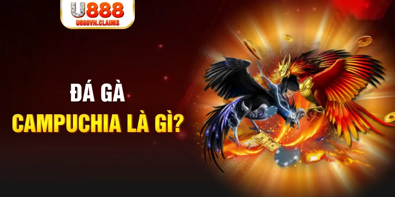 789win7 bắn cá vàng h5