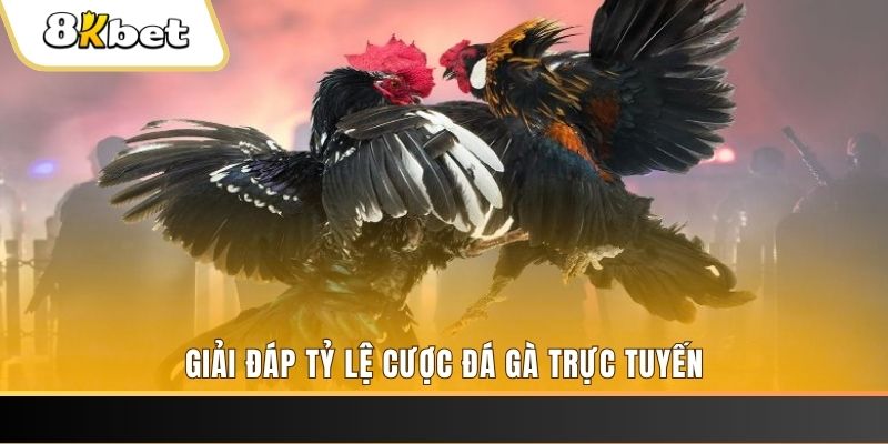 789win7 xổ số đài miền trung
