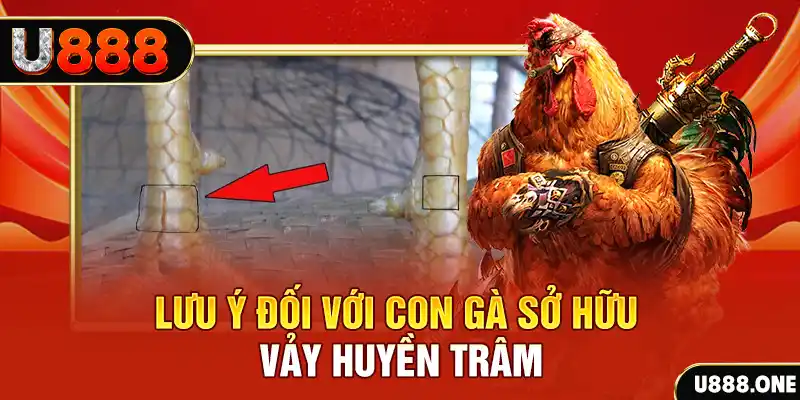 789win7 kết quả xổ số miền nam hôm nay