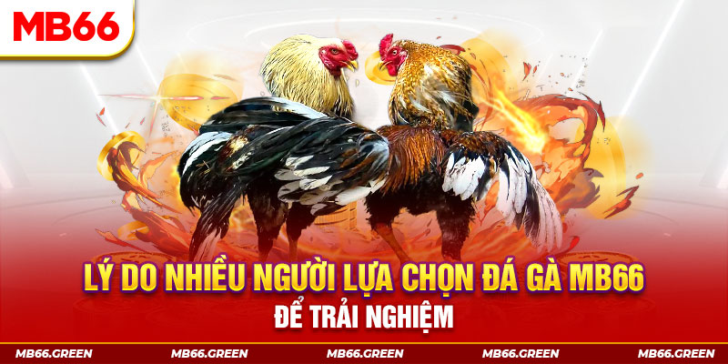 789win7 xổ số miền bắc thứ bảy hàng tuần