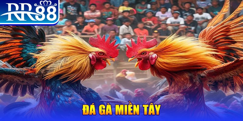 789win7 no hu doi thuong ai