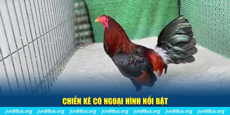789win7 game nổ hũ là gì